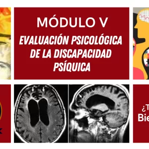 Evaluación Psicológica de la discapacidad psíquica