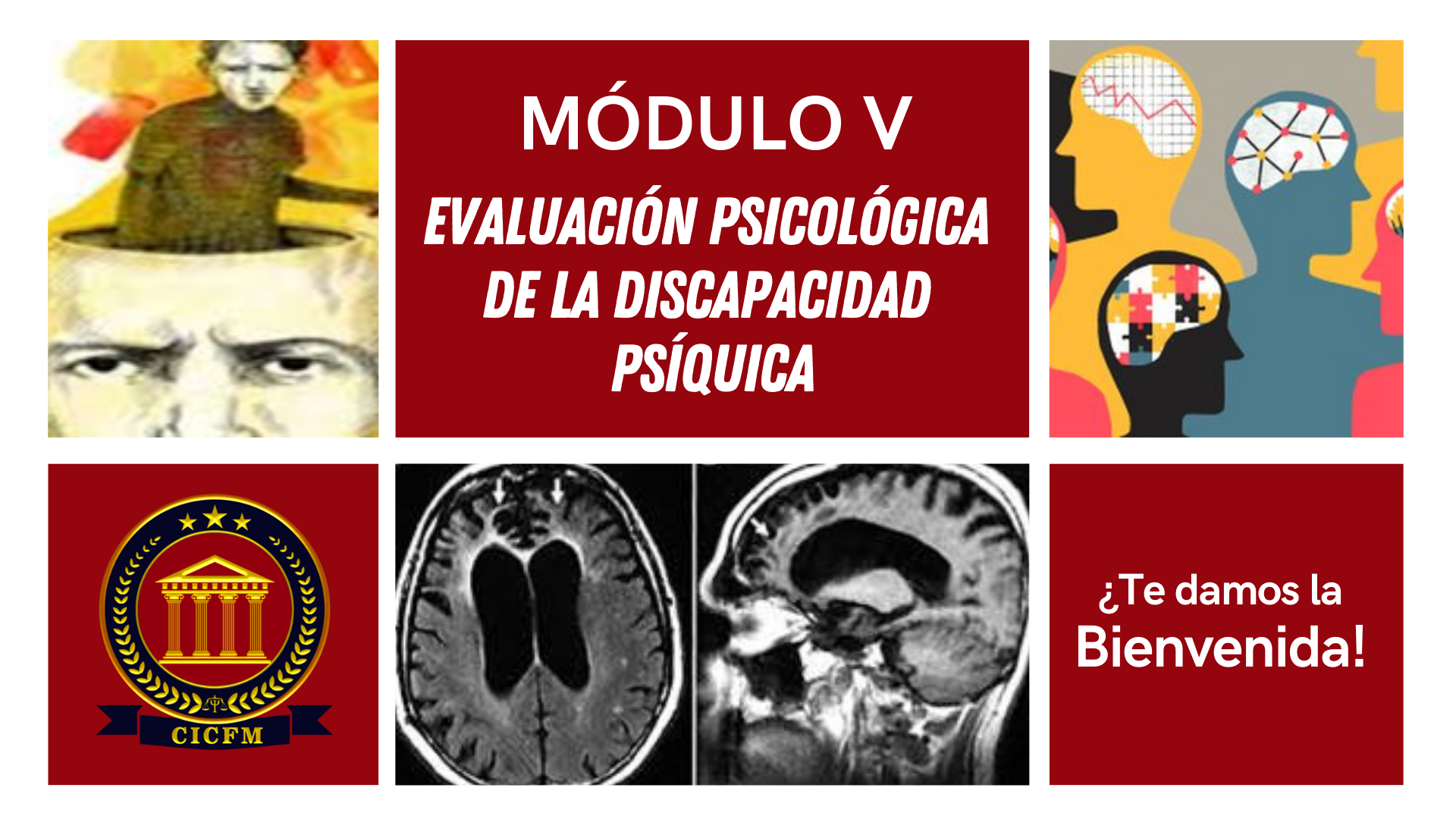 Evaluación Psicológica de la discapacidad psíquica