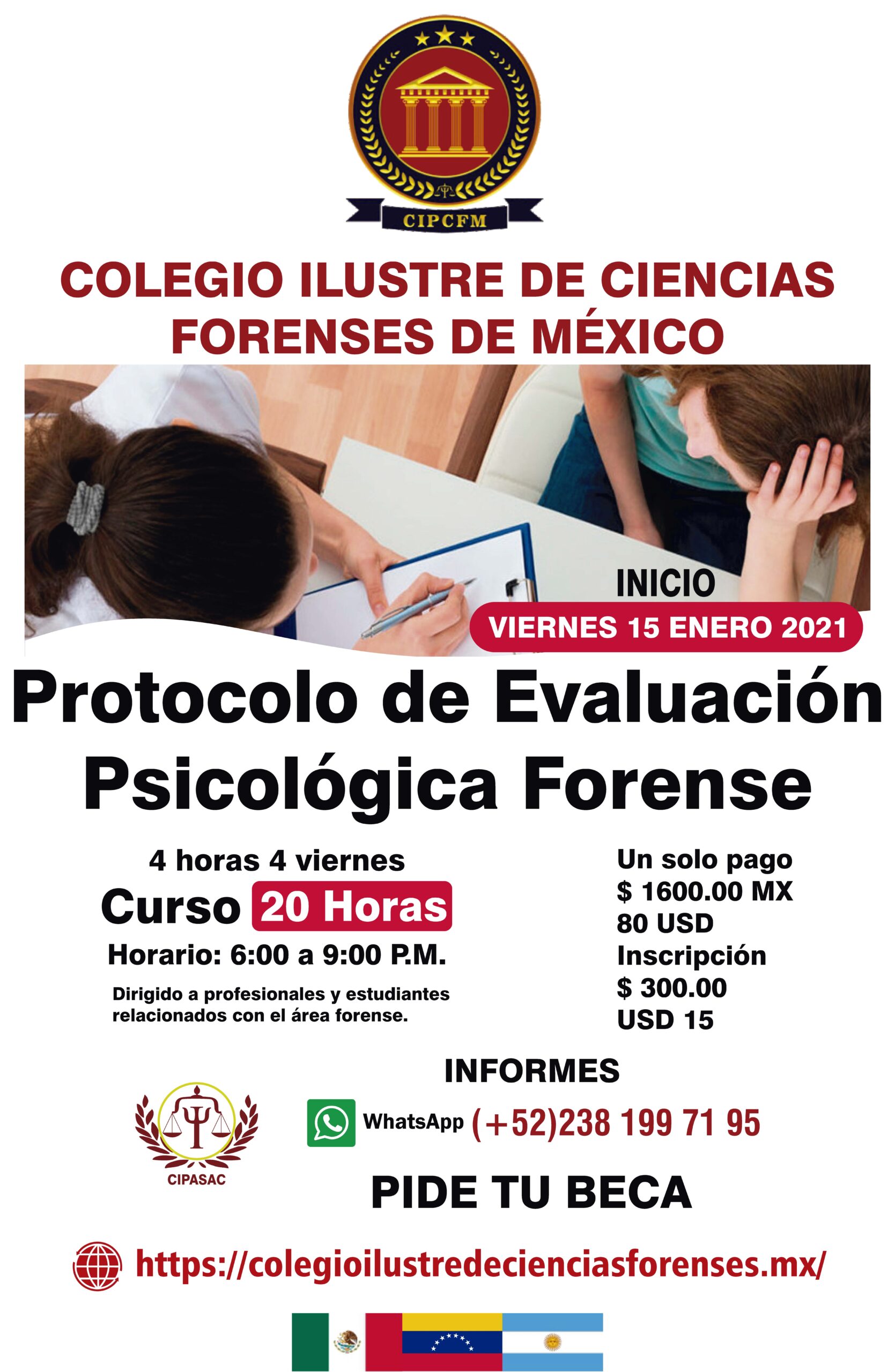 protocolo de evaluacion psicologica forense po